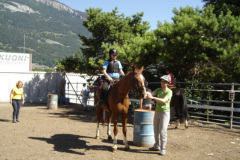 2008_mutterkindreiten_38_20090609_1746038620