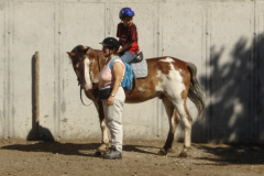 2008_mutterkindreiten_39_20090609_1285350376