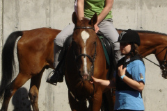 2008_mutterkindreiten_48_20090609_1264020163