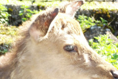DSC03490