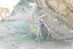 DSC03508