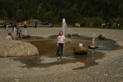 DSC03526
