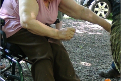 2012_ausflug_42_20120706_1262857873