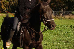 2008_minicross_106_20090609_1383082489