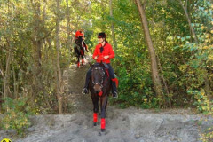 2008_minicross_115_20090609_1644660126