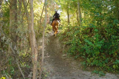 2008_minicross_122_20090609_1739208183