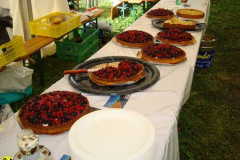 2008_minicross_137_20090609_1195051537