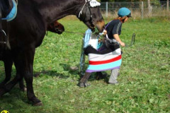 2008_minicross_139_20090609_1477191001