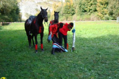 2008_minicross_147_20090609_2042442357