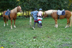 2008_minicross_153_20090609_1753098227