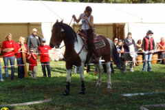 2008_minicross_156_20090609_1393200142