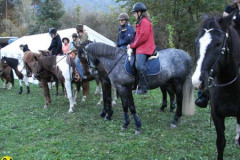 2008_minicross_16_20090609_1857771015