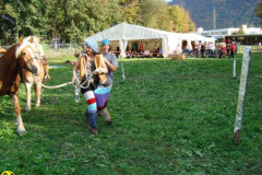 2008_minicross_181_20090609_1984090666