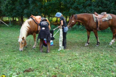 2008_minicross_186_20090609_1089695453