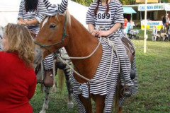 2008_minicross_190_20090609_2079026042