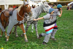 2008_minicross_192_20090609_1006492534
