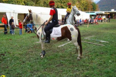 2008_minicross_194_20090609_1272079556