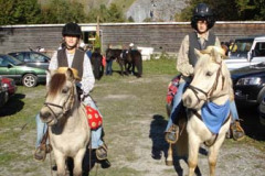 2008_minicross_57_20090609_1776709199