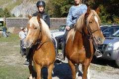 2008_minicross_64_20090609_1300080035