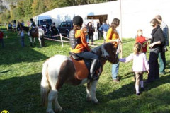 2008_minicross_7_20090609_1230642087
