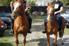 2008_minicross_96_20090609_1638343989