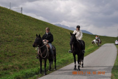 minicross_2012__462_20130207_1540365610