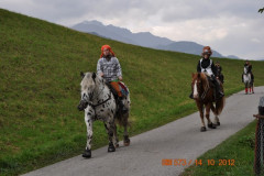 minicross_2012__470_20130207_1163671384