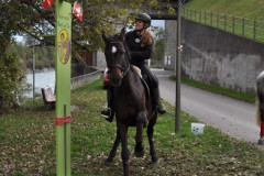 minicross_2012__487_20130207_1746644117
