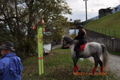 minicross_2012__493_20130207_1093023001