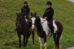 minicross_2012__506_20130207_1717507527