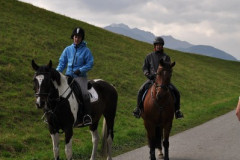 minicross_2012__559_20130207_1842639487