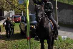 minicross_2012__597_20130207_1182910181