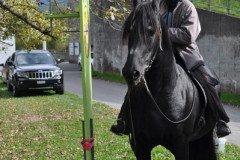 minicross_2012__621_20130207_1029443831