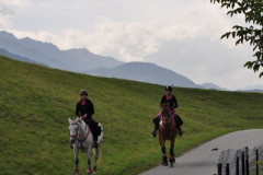 minicross_2012__669_20130207_1581309722