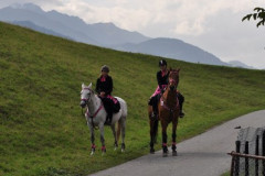 minicross_2012__671_20130207_1243808869