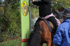minicross_2012__693_20130207_1518038036