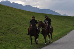 minicross_2012__725_20130207_1799093792