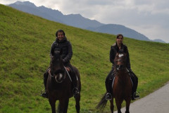 minicross_2012__737_20130207_1712054308