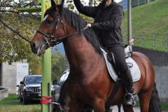 minicross_2012__774_20130207_1077237485