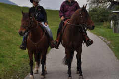 minicross_2012__829_20130207_1364346276