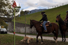 minicross_2012__830_20130207_1352276174