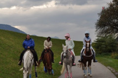 minicross_2012__861_20130207_1449877263
