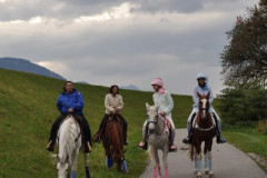 minicross_2012__862_20130207_1410312520