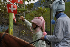 minicross_2012__877_20130207_1885453549