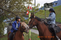 minicross_2012__959_20130207_1191957940
