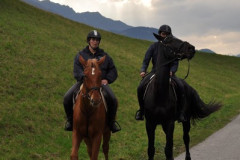 minicross_2012__966_20130207_1279778210