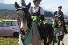 minicross_2014_160_20141017_1714519432